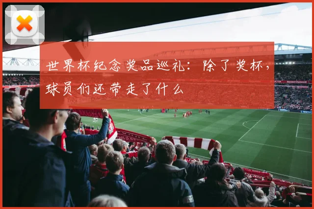 世界杯纪念奖品巡礼：除了奖杯，球员们还带走了什么