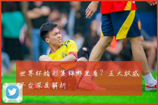 世界杯精彩集锦哪里看？五大权威平台深度解析