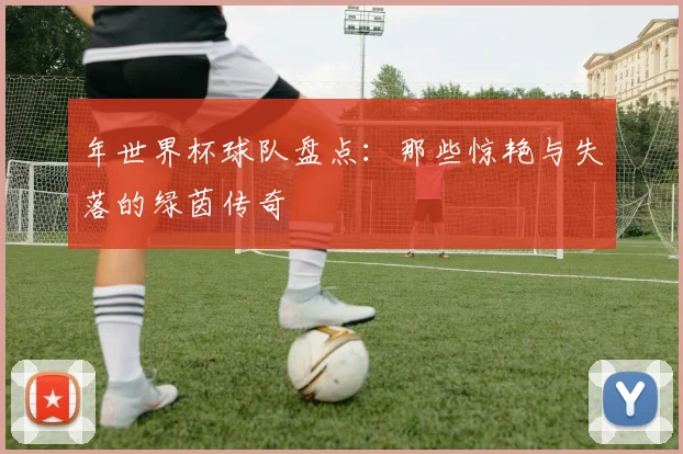年世界杯球队盘点:那些惊艳与失落的绿茵传奇