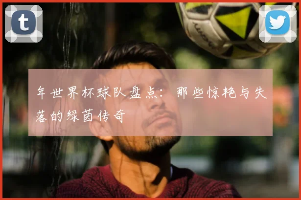 年世界杯球队盘点:那些惊艳与失落的绿茵传奇