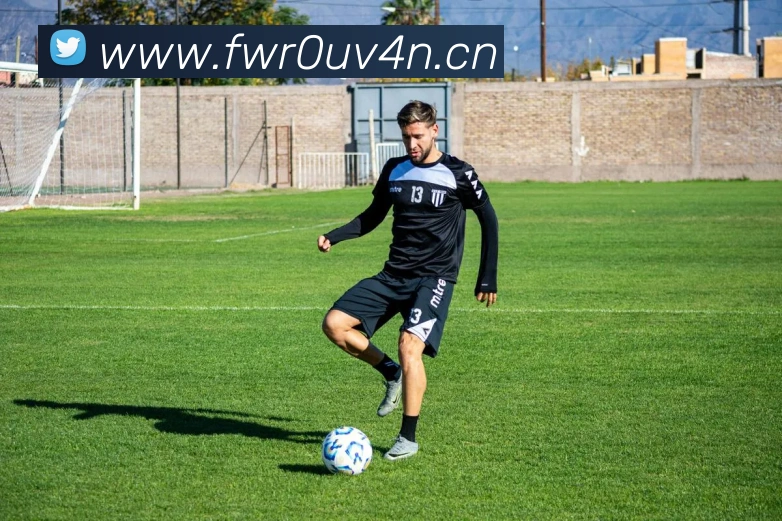 开云app官方在线入口平台生态图